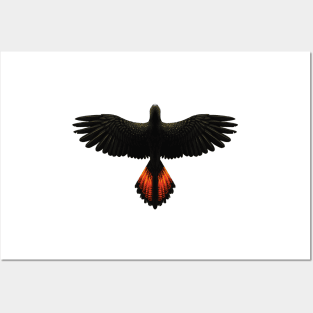 Black Cockatoo Posters and Art